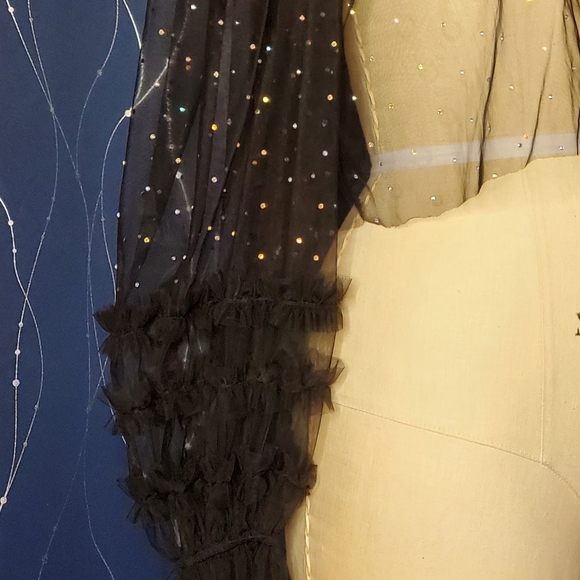 Crystal Studded Sheer Ruffled Blouse - Picture 6 of 6